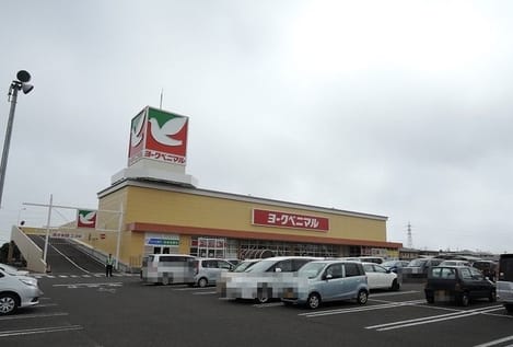 Naikan14 20250827000000