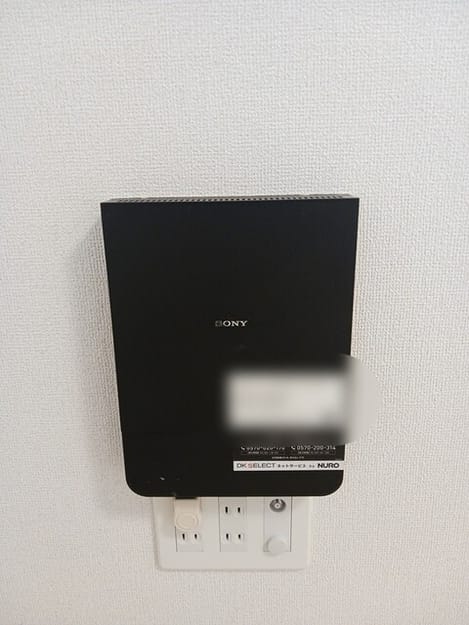 Naikan10 20260202000000