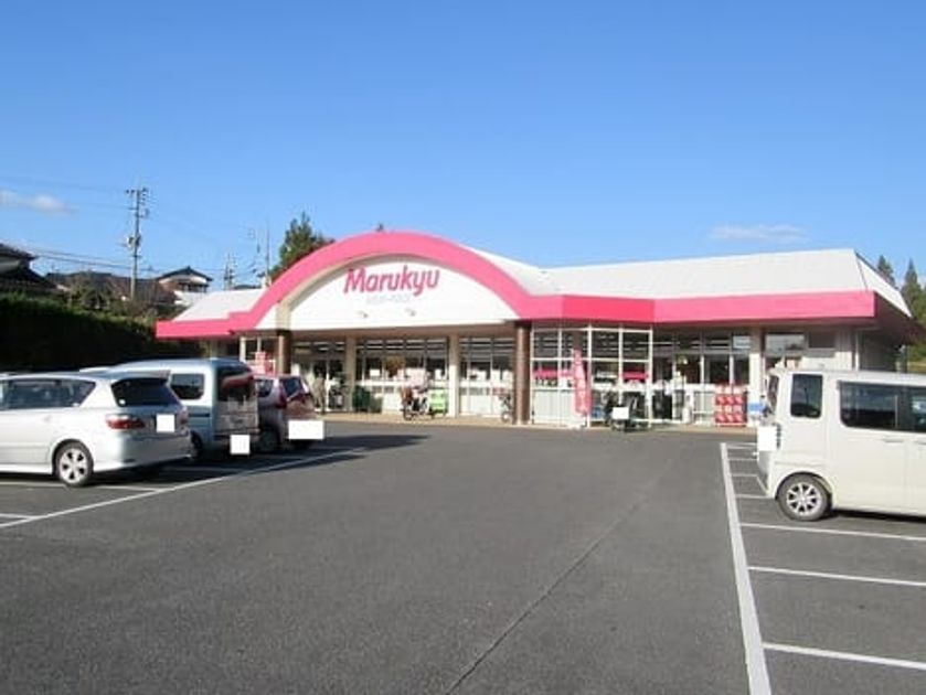 Naikan13 20210220000000 945x630