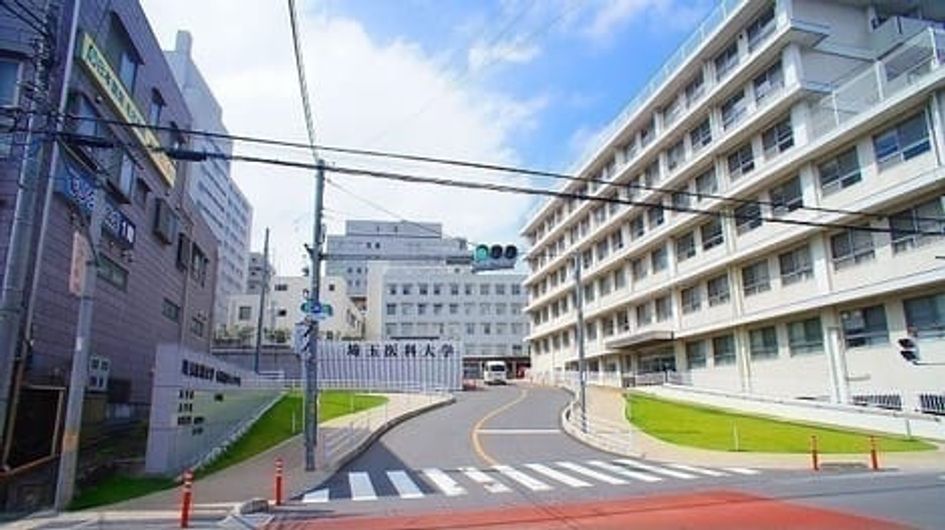 Naikan18 20251017000000 945x630