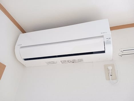 Naikan10 20260302000000