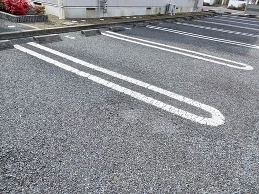 Naikan11 20260302000000 945x630
