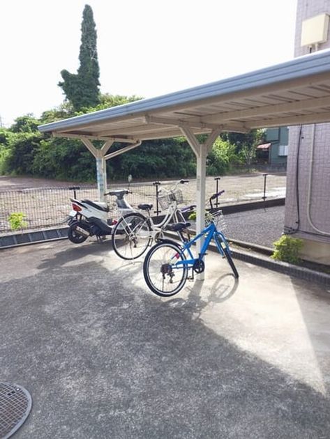 Naikan12 20250912000000 945x630