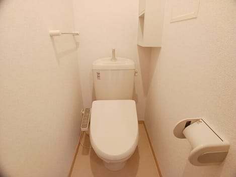 Naikan5 20260225000000