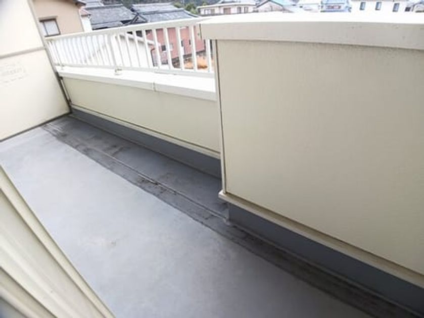 Naikan8 20260225000000 945x630