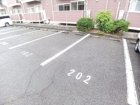 Naikan11 20260624000000