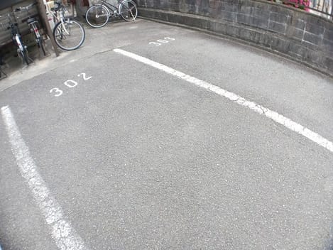 Naikan10 20250528000000