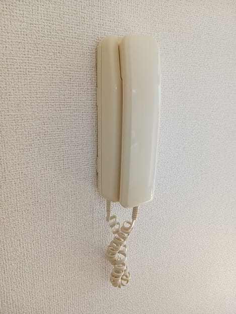 Naikan10 20260421000000