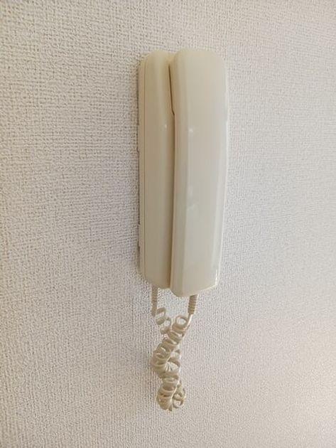 Naikan10 20260421000000 945x630