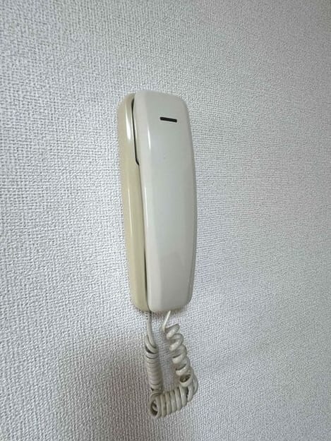 Naikan12 20260527000000
