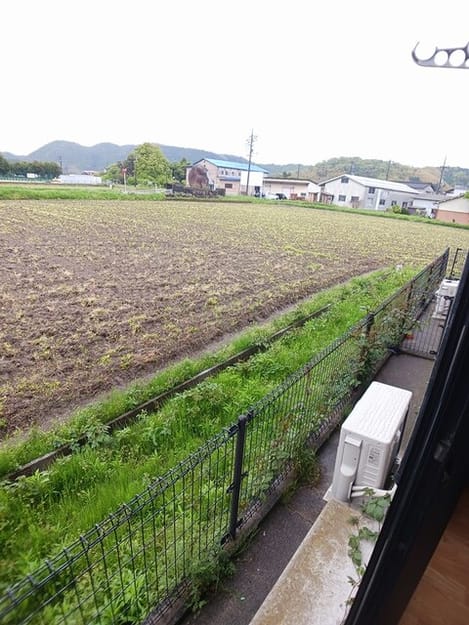 Naikan10 20260423000000