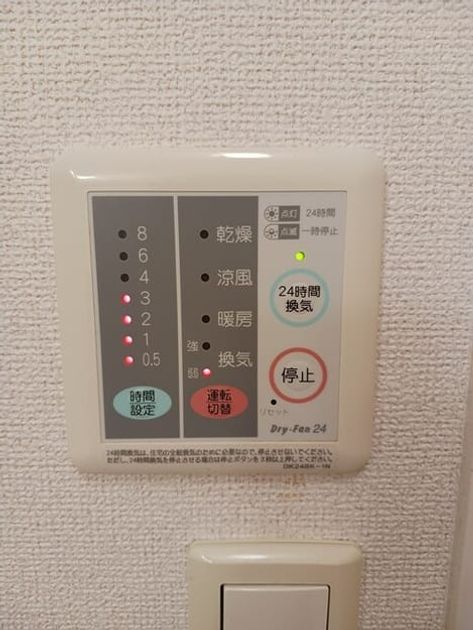 Naikan11 20260508000000 945x630