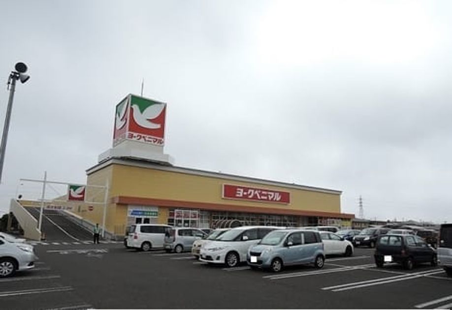 Naikan16 20241223000000 945x630