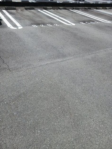 Naikan11 20260520000000 945x630