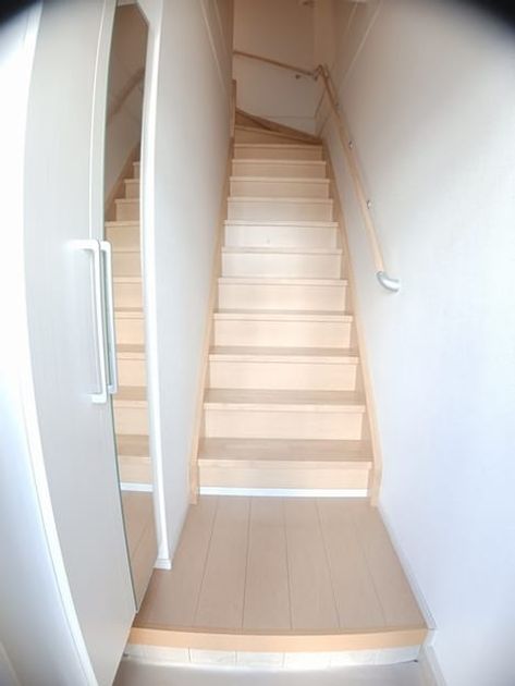 Naikan7 20241226000000 945x630