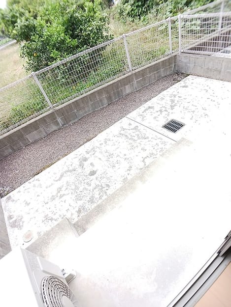 Naikan10 20260617000000