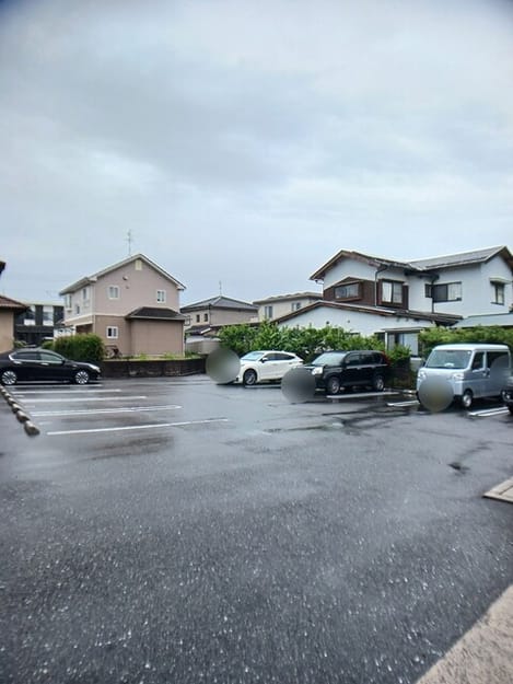 Naikan11 20260608000000