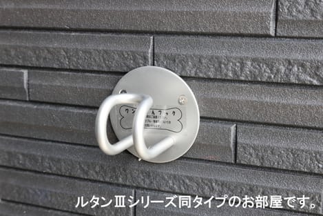 Naikan12 20260518000000