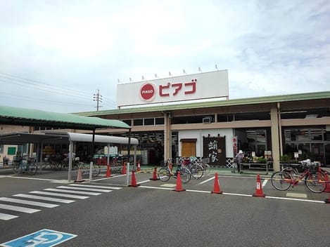 Naikan15 20210201000000