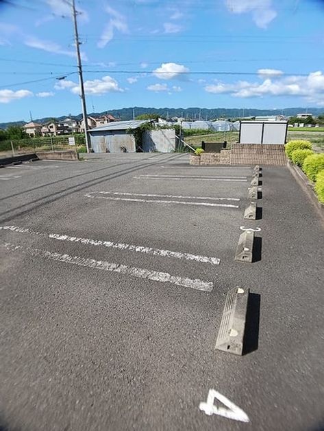 Naikan11 20260819000000 945x630