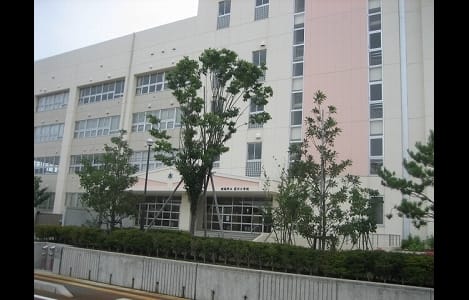 Naikan17 20230728000000