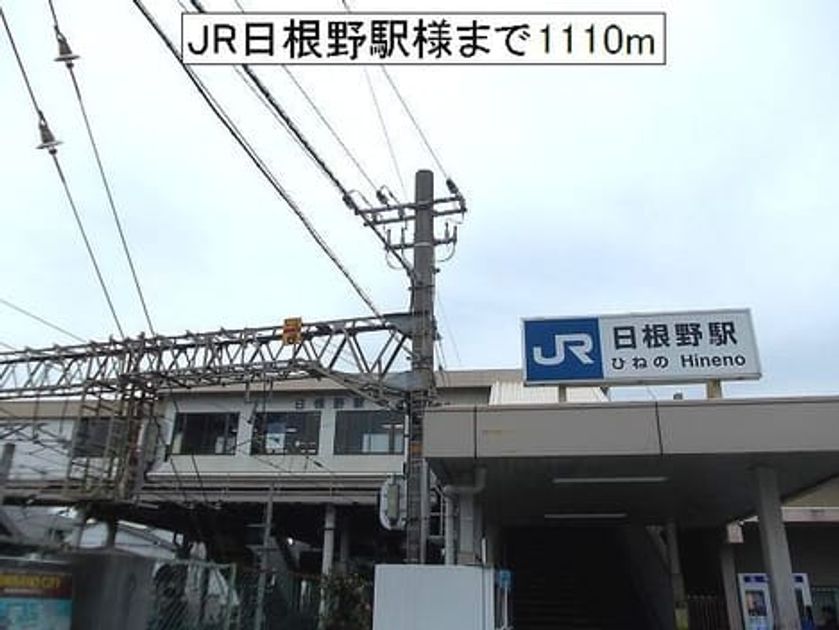 Naikan18 20190113000000 945x630