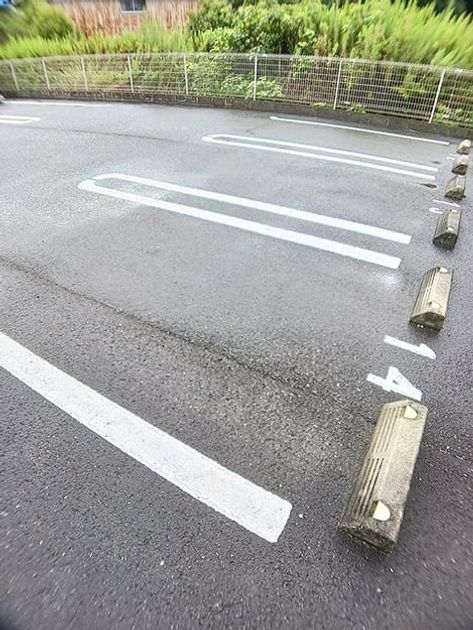 Naikan11 20260915000000 945x630