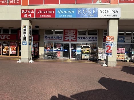 Naikan13 20250218000000