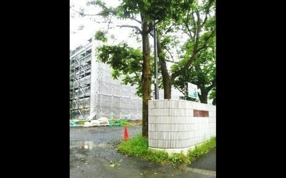 Naikan17 20200525000000 945x630