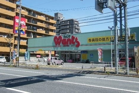 Naikan17 20250306000000