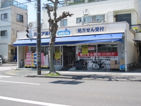 Naikan13 20260629000000