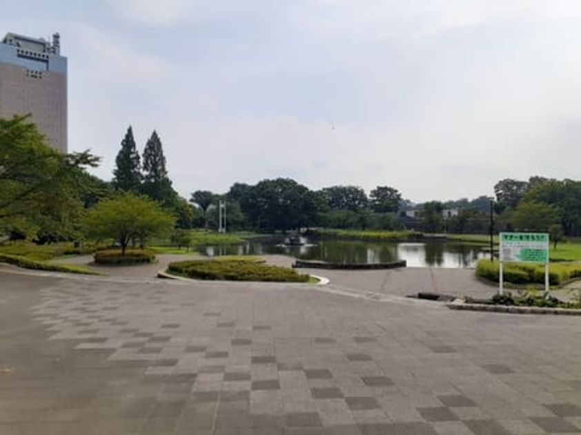 Naikan17 20241003000000 945x630