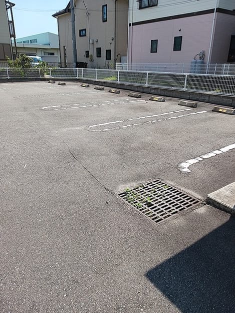 Naikan11 20260825000000