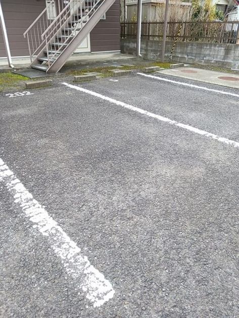 Naikan11 20251125000000 945x630