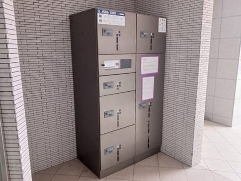 Naikan8 20250212000000 945x630