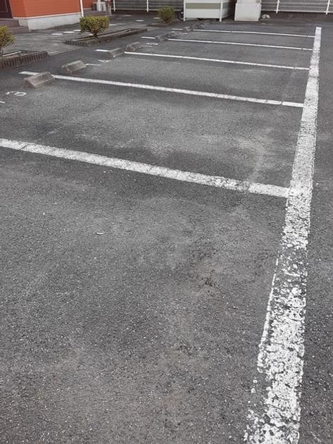 Naikan11 20241212000000 945x630