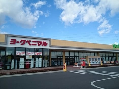Naikan15 20251112000000