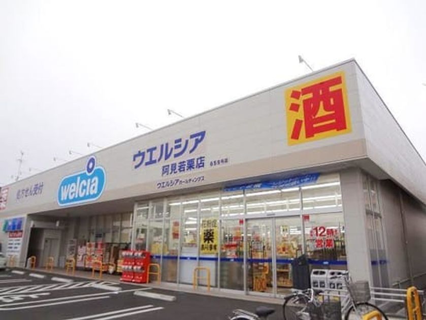 Naikan17 20201209000000 945x630