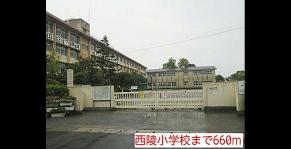 Naikan18 20140706000000 945x630