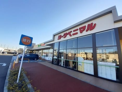 Naikan15 20240213000000