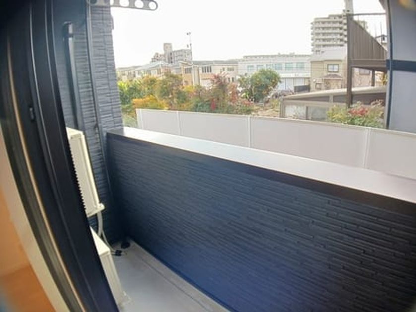 Naikan12 20250116000000 945x630