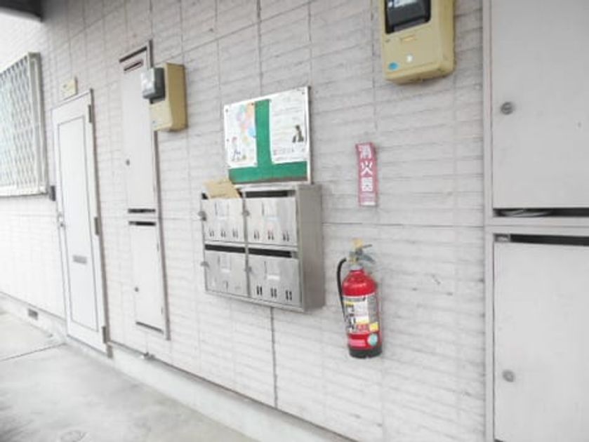 Naikan8 20260818000000 945x630