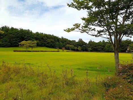 Naikan18 20241121000000