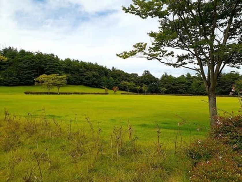 Naikan18 20241121000000 945x630