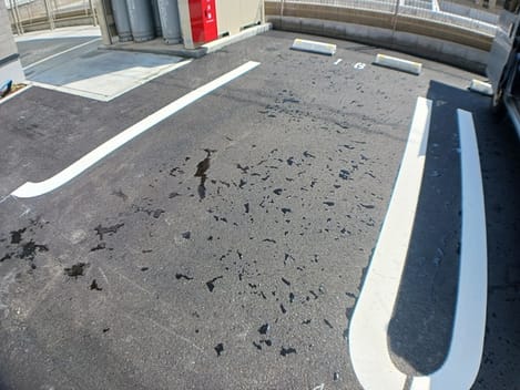 Naikan11 20250318000000