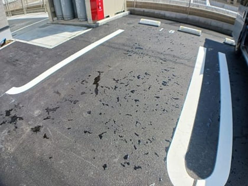 Naikan11 20250318000000 945x630