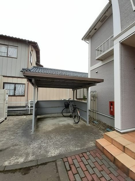 Naikan11 20260115000000