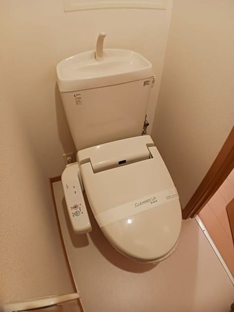 Naikan8 20241213000000 945x630