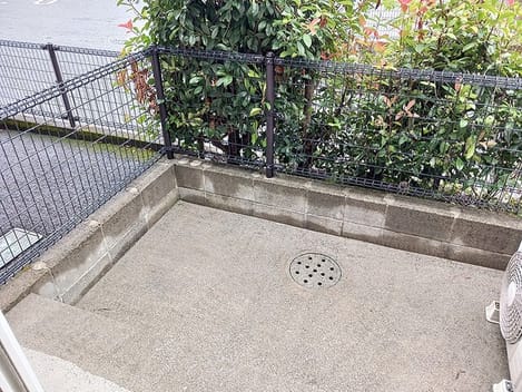 Naikan9 20261026000000