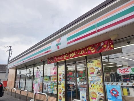 Naikan13 20250207000000